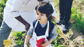 Watch: Little Taimur Ali Khan goes farming and vegetable hunting in Chandigarh