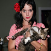 Katy Perry mourns the death of her beloved cat, Kitty Purry