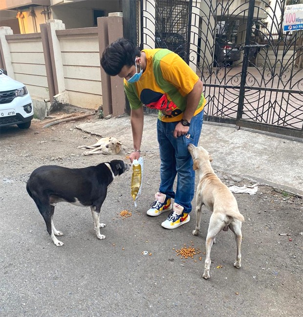 Paras Chhabra says he has been feeding the stray dogs around his building