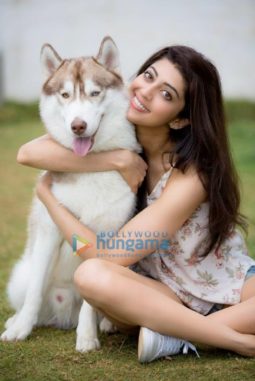 Celebrity Photo of Pranitha Subhash