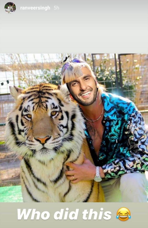 Ranveer Singh is the new Joe Exotic as he shares Tiger King meme on Instagram
