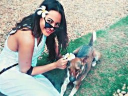 Sonakshi Sinha asks people to abandon their ignorance and inhumanity instead of pets