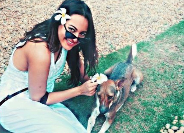 Sonakshi Sinha asks people to abandon their ignorance and inhumanity instead of pets