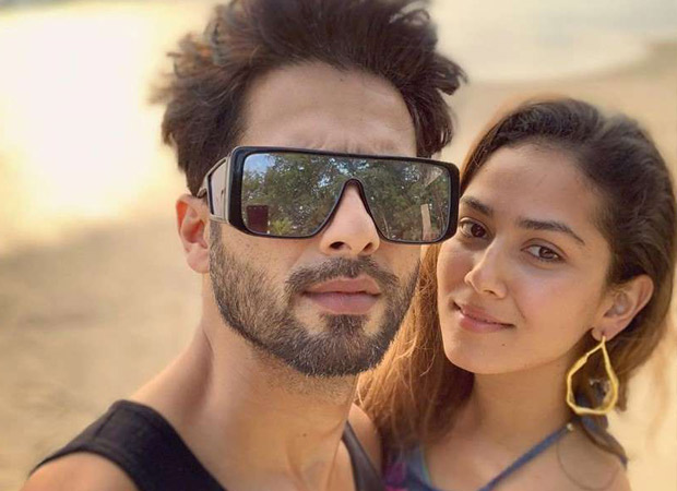Mira Rajput takes an apt 'revenge' in Shahid Kapoor, shares a priceless throwback