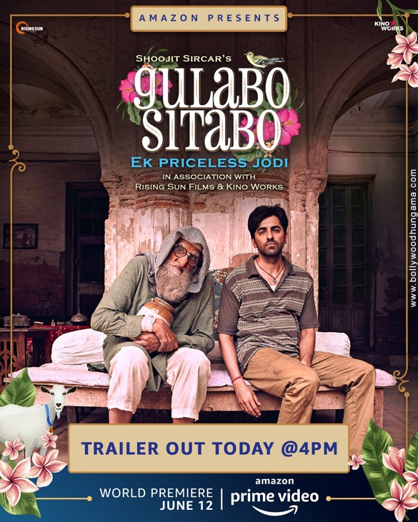 gulabo sitabo 11
