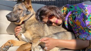 Priyanka Chopra shares a cuddle with her pets as they relax under the Sun