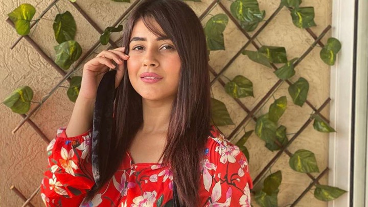Shehnaaz Gill: “Mujhe Akshay Kumar jaisi feeling aati hai Kartik Aaryan ko dekh ke, matlab… “ Shehnaaz Gill: “Mujhe Akshay Kumar jaisi feeling aati hai Kartik Aaryan ko dekh ke, matlab… “
