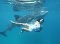Watch: Katrina Kaif swims along with her ‘incredible friend’ in the ocean 