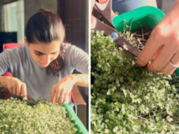 Samantha Akkineni shares results of her first harvest of cabbage microgreens