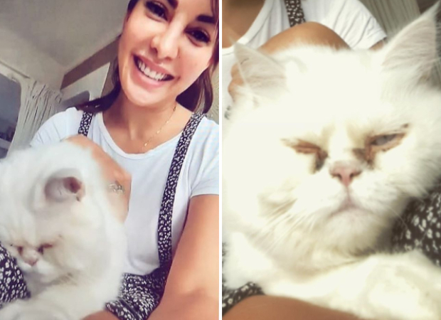 Jacqueline Fernandez shares selfies with her cat after calming meditation session