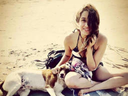 Shraddha Kapoor comes to the aid of stray animals