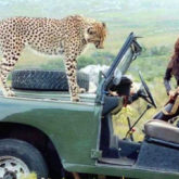 Karisma Kapoor remembers the time when she shot with a real Cheetah