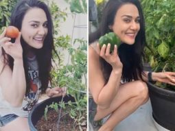 Preity Zinta shares glimpses of the produce from her kitchen garden; watch 