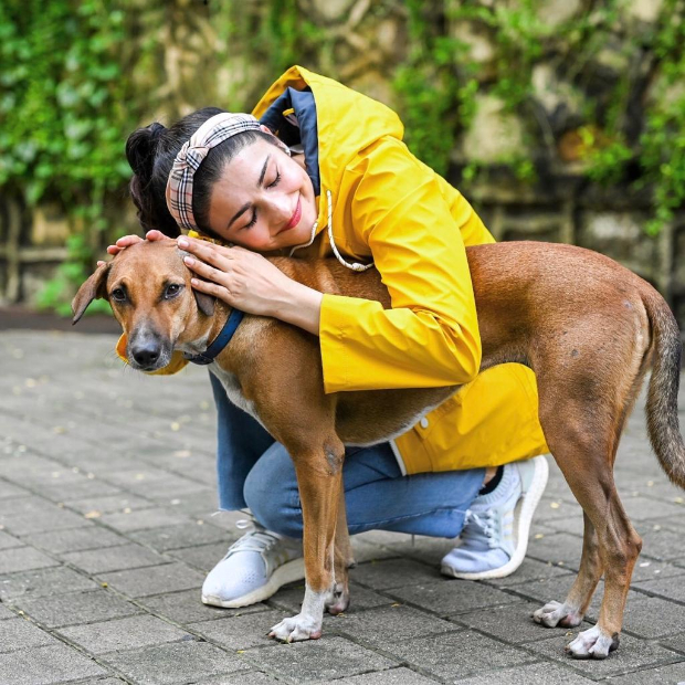 “Sometimes all you need is love,” writes Prachi Desai sharing pictures of strays from her building
