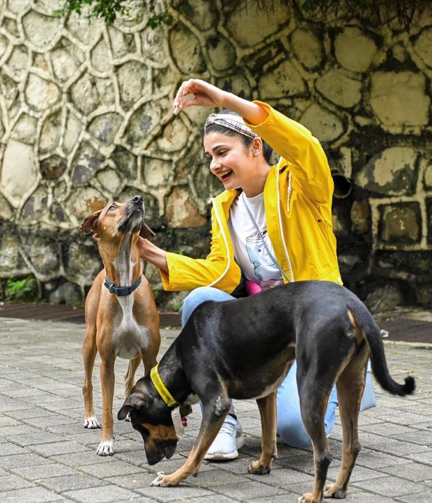 “Sometimes all you need is love,” writes Prachi Desai sharing pictures of strays from her building