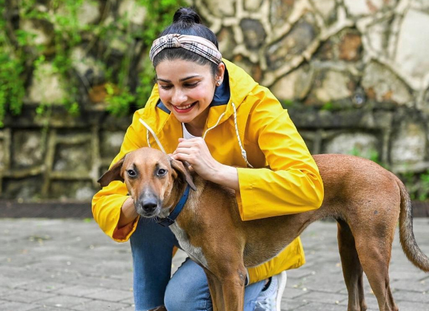 “Sometimes all you need is love,” writes Prachi Desai sharing pictures of strays from her building