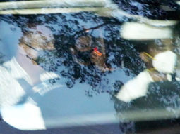 Ranveer Singh spotted at YRF studio