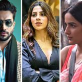 Aly Goni loses cool at Nikki Tamboli after she abuses Jasmin Bhasin on Bigg Boss 14
