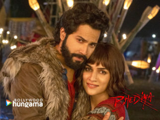 Movie Wallpapers Of The Movie Bhediya