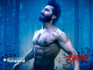 Movie Wallpapers Of The Movie Bhediya