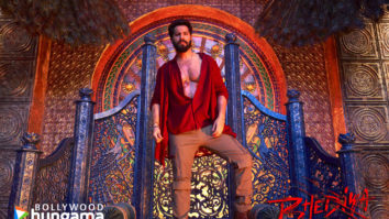 Movie Wallpapers Of The Movie Bhediya