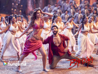 Movie Wallpapers Of The Movie Bhediya