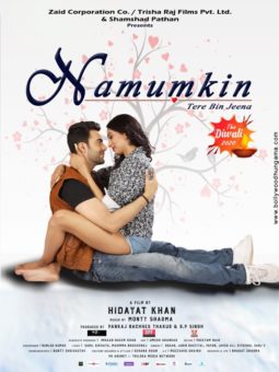First Look Of The Movie Namumkin Tere Bin Jeena