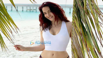 Celebrity Photos of Elli AvrRam