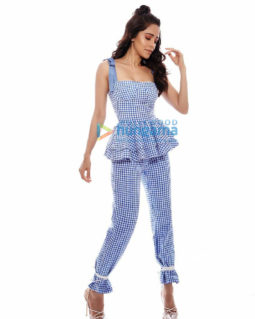 Celebrity Photos of Nushrat Bharucha