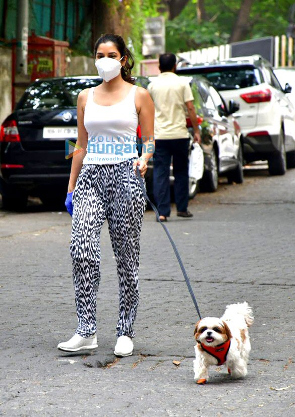 photos malaika arora and sophie choudry spotted with their pets for a walk 6