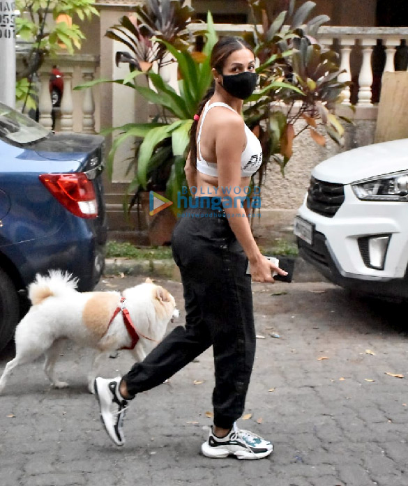 photos malaika arora snapped with her pet in bandra 3 2