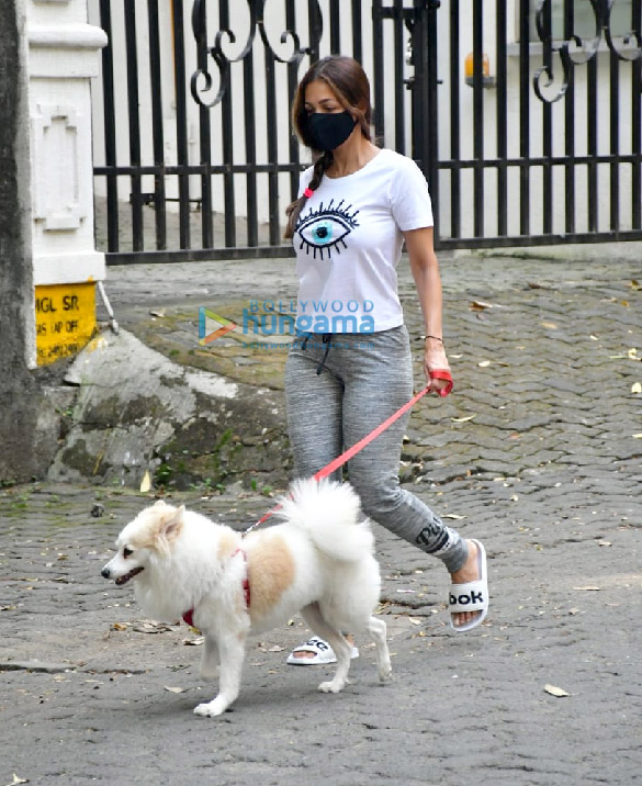 photos malaika arora snapped with her pet in bandra 4