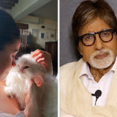 Alia Bhatt shares a picture with her muse; Amitabh Bachchan comments ‘he does not like cats and that it will upset many ladies'