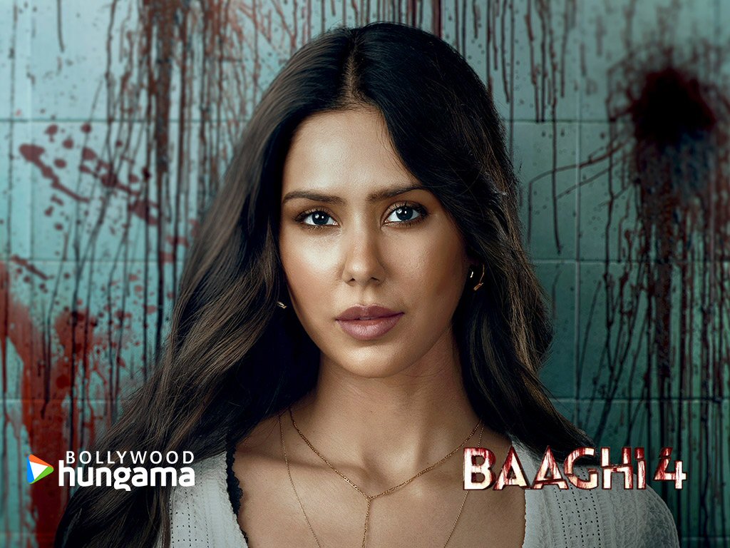 Baaghi 4 Baaghi 4