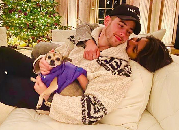 Priyanka Chopra Jonas and Nick Jonas’ New Year’s greeting card is a caricature of them with their three puppers