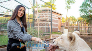 Celeb Photos Of Raai Laxmi