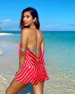 Celeb Photos Of Sophie Choudry