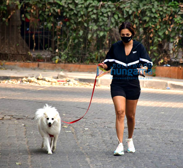 photos malaika arora snapped with her pet in bandra 2 5