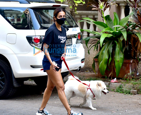 photos malaika arora snapped with her pet in bandra 3 3