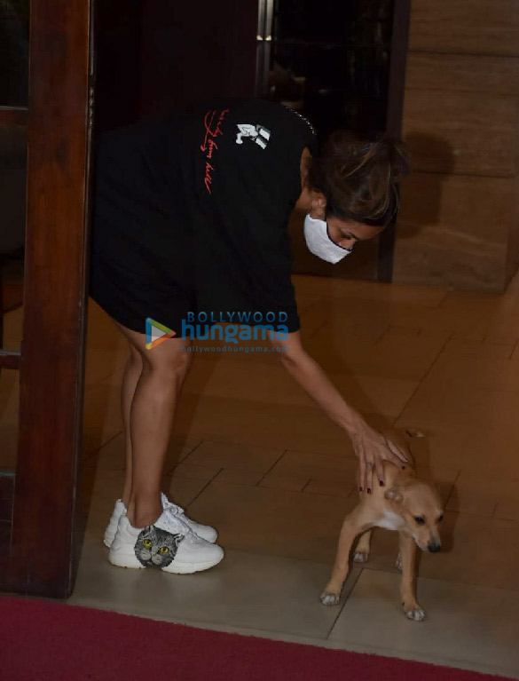 photos malaika arora spotted in bandra 9