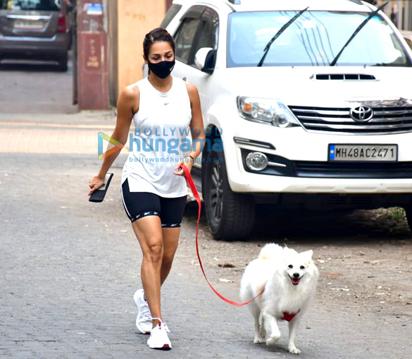 photos malaika arora spotted with her pet for morning walk 3 2