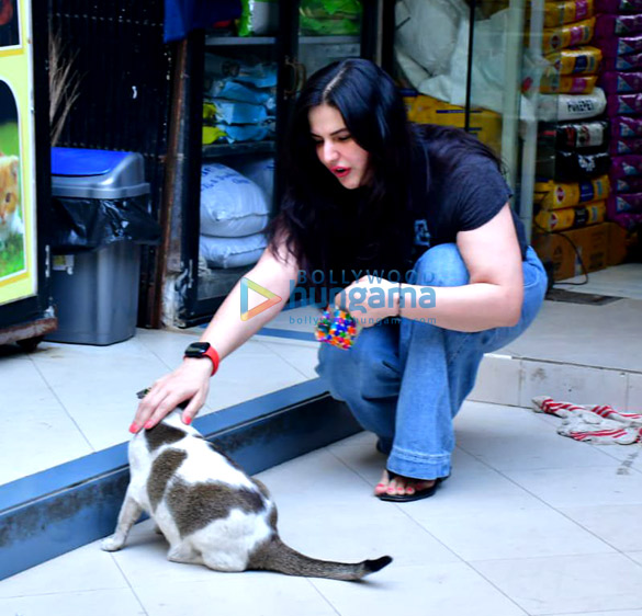 photos zareen khan spotted at a pet store 2