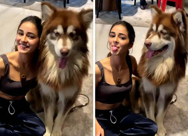 VIDEO Ananya Panday makes a new furry friend on the sets of Liger
