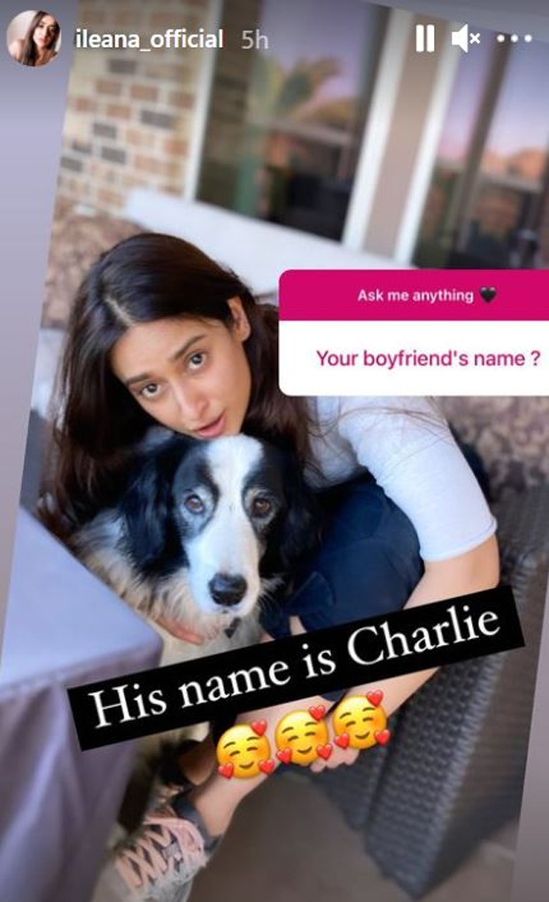 Ileana D’Cruz answers questions on her boyfriend, cosmetic surgery and favourite co-star