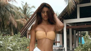 Disha Patani strikes a pose in a strapless bikini