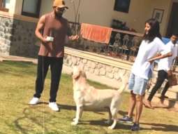 Anushka Sharma shares ‘some special, priceless moments’ with Virat Kohli and dogs, watch video