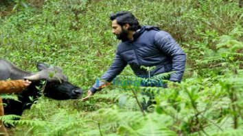 On the sets of the movie Bhediya