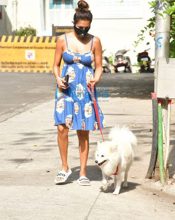 photos malaika arora spotted with her pet for morning walk 2 4