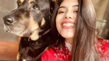 Sanjana Sanghi shares the joyful experience of having 5 pet dogs at her home Sanjana Sanghi shares the joyful experience of having 5 pet dogs at her home