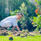 Kangana Ranaut has special request for Mumbai and Gujarat governments